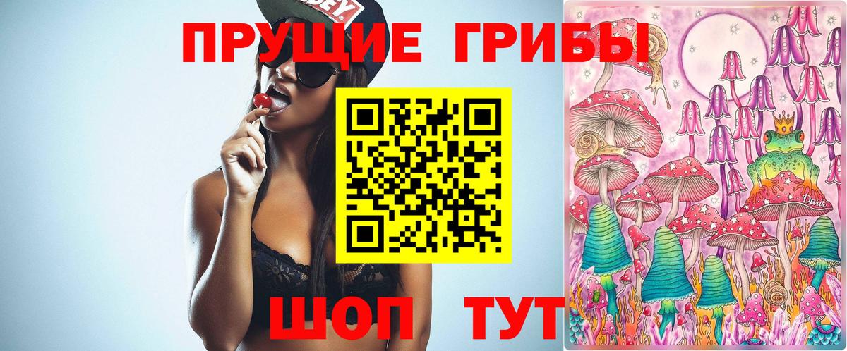 Галлюциногенные грибы Psilocybe Великие Луки